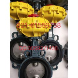 直銷正品假一罰百 德國依博羅EBRO氣動(dòng)扇形蝶閥